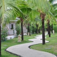 the natural resort