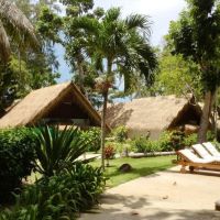 coral island resort