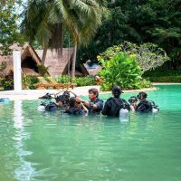 coral island resort