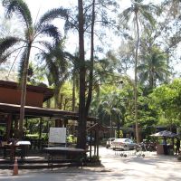 nai yang beach resort