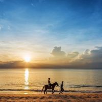 movenpick resort bangtao beach phuket