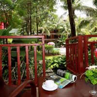 kata palm resort