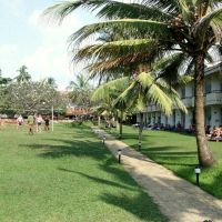 hibiscus beach hotel