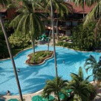 patong merlin