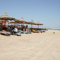 horizon sharm resort