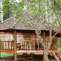 palm paradise cabanas