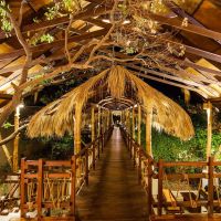 jungle beach resort