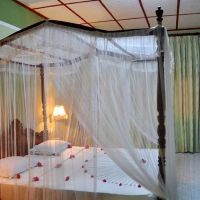bougain villa guest