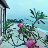 mamas coral beach