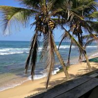 polina resort hikkaduwa (hansa Surf)