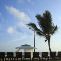 avenra beach hikkaduwa