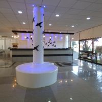 amore hotel apts