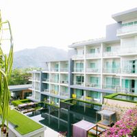 sugar palm grand hillside