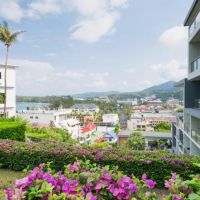 sugar palm grand hillside