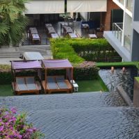 sugar palm grand hillside