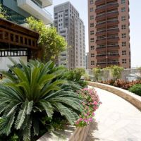 time oak hotel & suites