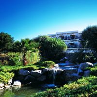 ja palm tree court & spa
