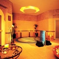 ja palm tree court & spa