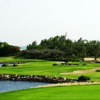ja palm tree court & spa