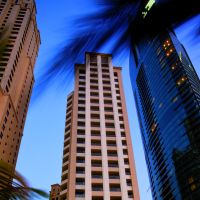 movenpick hotel jumeirah beach