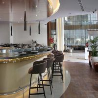 auris inn al muhanna