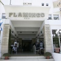 flamingo beach hotel