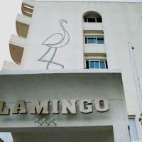 flamingo beach hotel