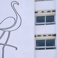 flamingo beach hotel