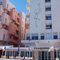 flamingo beach hotel