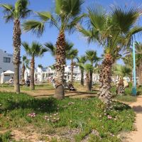 callisto holiday village