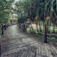 suriya luxury resort