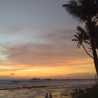 citrus hikkaduwa