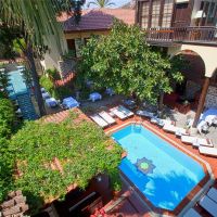 alp pasa hotel