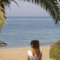 alion beach hotel