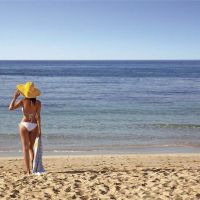 alion beach hotel