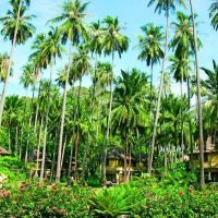 rayavadee krabi