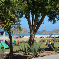 umm al quwain beach hotel