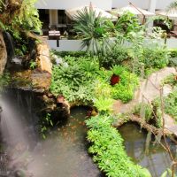 dusit thani pattaya