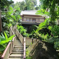 centara villas phuket