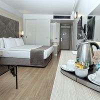altin yunus resort & thermal hotel hv-1