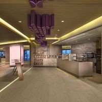 hyatt regency dubai creek heights