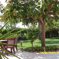 mikado beach hotel 3 *