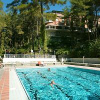 forest park hotel 4 *