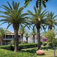 acharavi beach hotel
