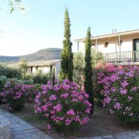 aeria hotel
