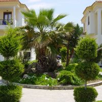 acrotel lily ann village hotel