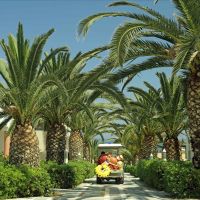 aldemar knossos royal family resort