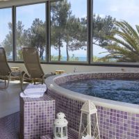 alexandra beach thassos spa resort