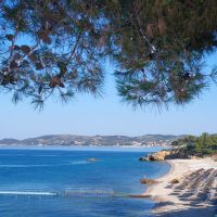 alexandra beach thassos spa resort