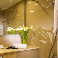 amalia hotel nafplio